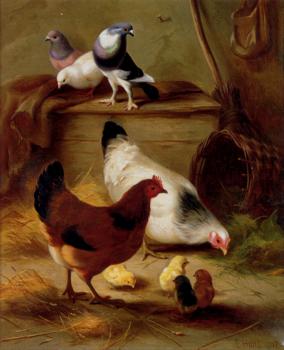 埃德加 亨特 Pigeons And Chickens